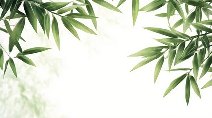 Poster - Bamboo leaf border framing a soft green background for nature inspired design and decoration.