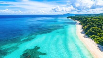 Poster - Stunning Aerial View of Turquoise Ocean Waves and Serene Sandy Beach Under a Clear Blue Sky