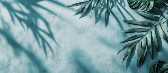 Poster - Tropical Leaf Shadows on Textured Wall Minimalist Background with Empty Space for Text or Product Presentation