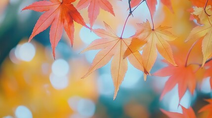Poster - Autumn Maple Leaves Hanging From Branch