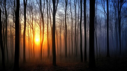 Poster - Misty Forest Sunset Orange And Blue Hues