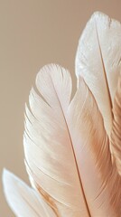 Wall Mural - Beautiful mocha mousse feather patterns create soft textures on light beige background