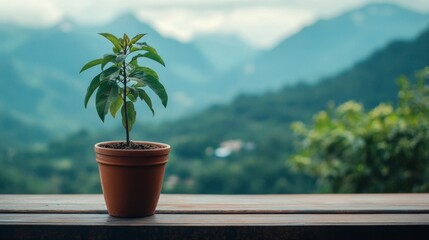 Poster - A young tree growing in a pot placed on a wooden balcony with a scenic view of mountains in the background.