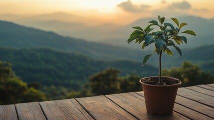 Poster - A young tree growing in a pot placed on a wooden balcony with a scenic view of mountains in the background.