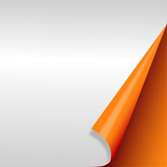 Wall Mural - Orange page with curled corner.