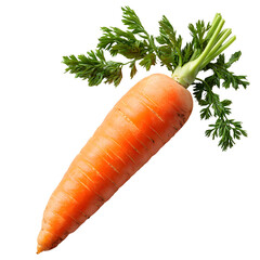 Wall Mural - Fresh Organic Carrot with Green Tops Vibrant Orange Vegetable Healthy Eating Isolated on Black