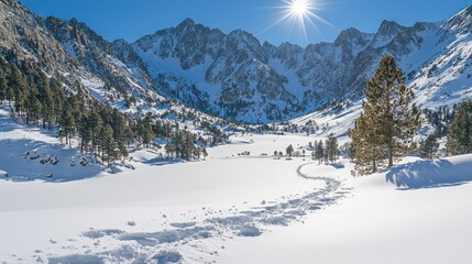 Wall Mural - Snow-covered mountain landscape under a bright sun.