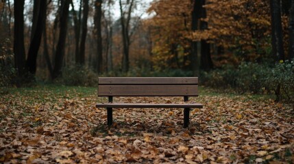 Wall Mural - Empty park bench surrounded by autumn leaves in a forest.