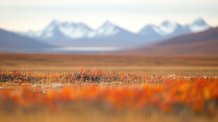 Wall Mural -   a field of flowers with a majestic mountain range in the background