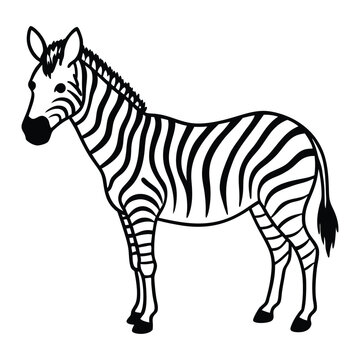 Elegant Zebra Line Art Design