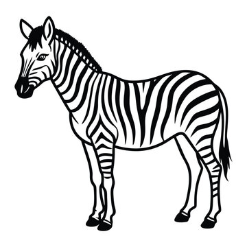 Elegant Zebra Line Art Design