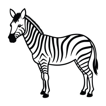 Elegant Zebra Line Art Design