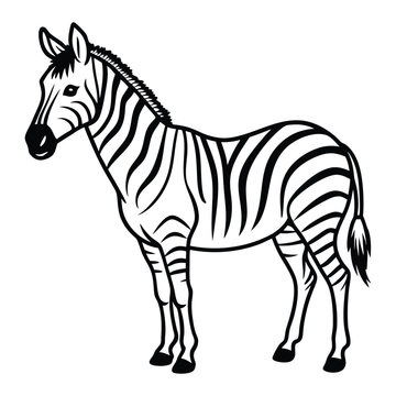 Elegant Zebra Line Art Design