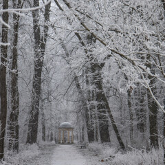 Poster - Le temple de l'amour au parc de la colombière à dijon sous la neige. Carroussel en hiver	