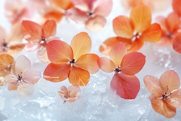 Poster - Flowers frozen in ice, a unique and beautiful natural phenomenon