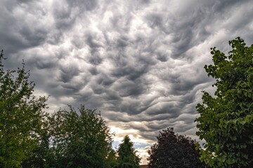 Poster - A view of a cloudy sky with trees in the foreground, perfect for weather or nature-themed images