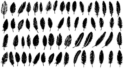 Poster - Bird feather great set silhouette, black soft bird plumage set. vector fluffy swan. Pen illustration on white background.