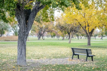 Wall Mural - Autumn Leaves in Park: A tranquil park scene with trees in vibrant fall colors, leaves scattered on the ground, and a lone bench