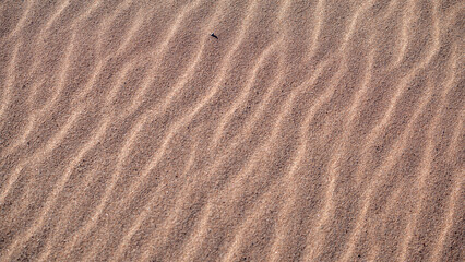 Sand ripples in the sand