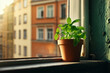 © SnapVault - A terracotta pot with a vibrant green plant sits on a windowsill, bathed in golden sunlight, with a backdrop of urban buildings creating a peaceful indoor scene.