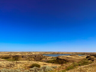 Golden Prairie Landscape with Blue Sky and Rolling Hills