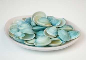 Poster - A Beautiful Arrangement of Light Blue and White Seashells on a Smooth Plate Set Against a Neutral Background for Coastal-Themed Decor and Design Projects