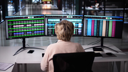 Poster - Computer Spreadsheet Data Analyst Woman