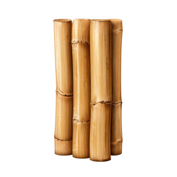 Yellow Bamboo Stem Piece Isolated