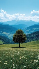 Wall Mural - Lone tree in mountain meadow, distant peaks, sunny sky.