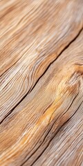 Poster - A close-up of natural wood grain textures with soft blurred highlights, abstract design with earthy tones, and nature-inspired minimalism combined beautifully in this artwork.