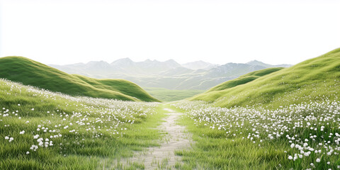 Wall Mural - A green, grassy field with a path leading to green mountains, against a white background.