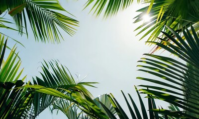 Wall Mural - tropical palm leaves against clear blue sky with negative space