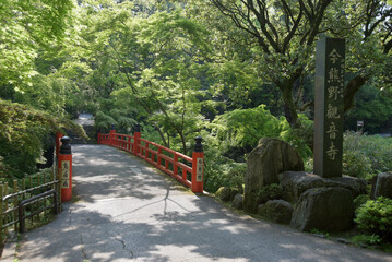 Poster - 今熊野観音寺　新緑の鳥居橋　京都市東山区泉涌寺