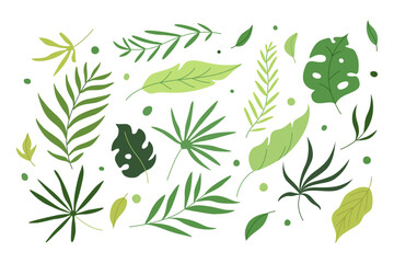 Wall Mural - set of tropical leave illustration