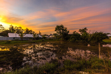 Wall Mural - Background of morning or evening light of colorful sky, road during nature tour, surrounded by clouds and various trees.