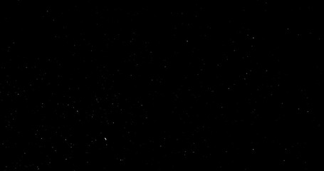 Wall Mural - Natural Organic Dust Particles Floating On Black Background. Dynamic Dust Particles Randomly Float In Space. Shimmering Glittering Dust Particles With Bokeh. Slow motion on Black Background.