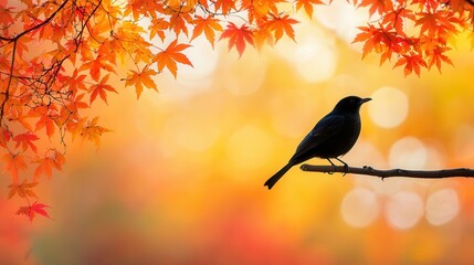 Poster - A silhouette of a bird perched on a branch, framed by vibrant autumn leaves, creating a serene and picturesque nature scene.