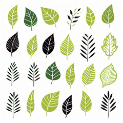 Wall Mural - Stylish Leaf Pattern Clip Art on Clean White Background flat airy green crisp   