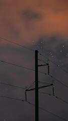 Wall Mural - Night Starry Sky With Glowing Stars. Close Up Power Lines In Starry Sky Background Time Lapse, TimeLapse, Time-Lapse