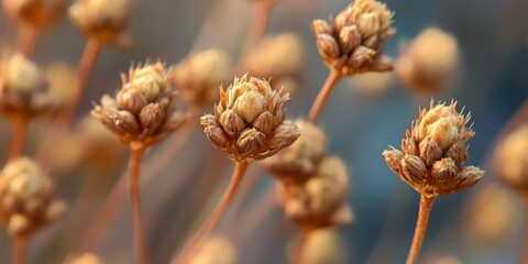 Poster - Closeup shot capturing the intricate details of Aeschynomene americana weed, showcasing its unique characteristics and texture in a vibrant setting, perfect for nature and botany enthusiasts.