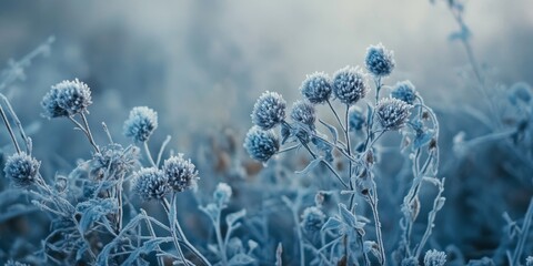 Poster - Frost covered plants glisten on a winter morning, showcasing the beauty of frozen plants in a serene landscape. The frozen plants create a captivating scene, embodying the essence of winter.