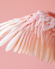 Poster - delicate pink flamingo feathers soft pastel wing closeup