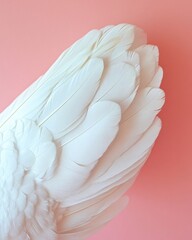 Poster - soft white feathers against a pink background gentle and serene bird wing detail