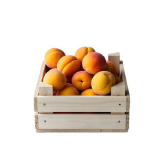 Sticker -  Apricots in wood box