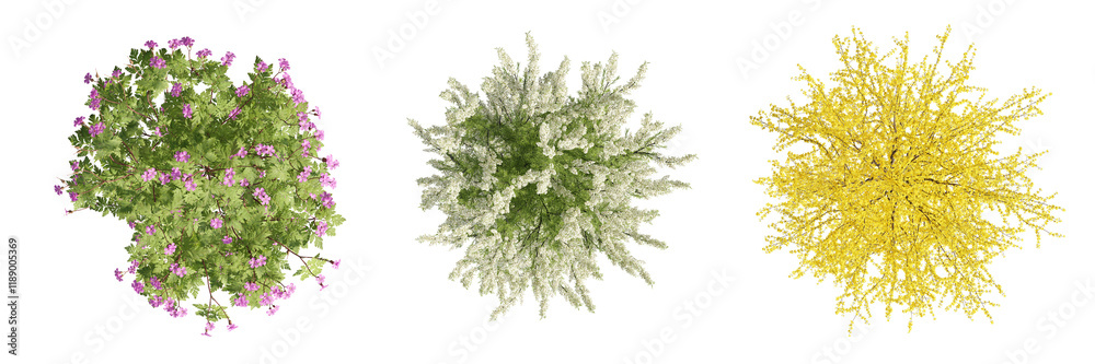 set of trees rendered from the top view, 3D illustration, for digital ...