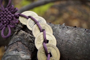 Canvas Print - Chinese Feng Shui coins in close-up on the bark of a tree.