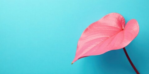 Poster - Pink leaf on a vibrant blue background, a minimalist botanical image perfect for design projects