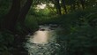 © milenialdesastudio - Serene stream flowing through lush green forest at sunset.