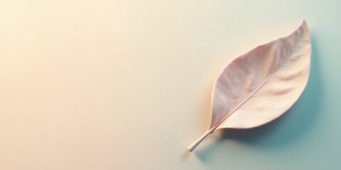 Poster - Pastel Pink Leaf on Soft Background Minimalist Design
