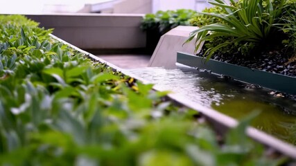 Fototapete - Green rooftop featuring lush vegetation growing alongside modern water channel. Highlighting sustainable architectural approach and supporting urban biodiversity through innovative ecological design
